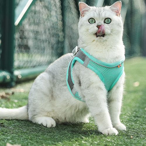 猫咪牵引绳胸背带快速穿戴防挣脱溜猫绳子布偶猫银渐层外出便携式