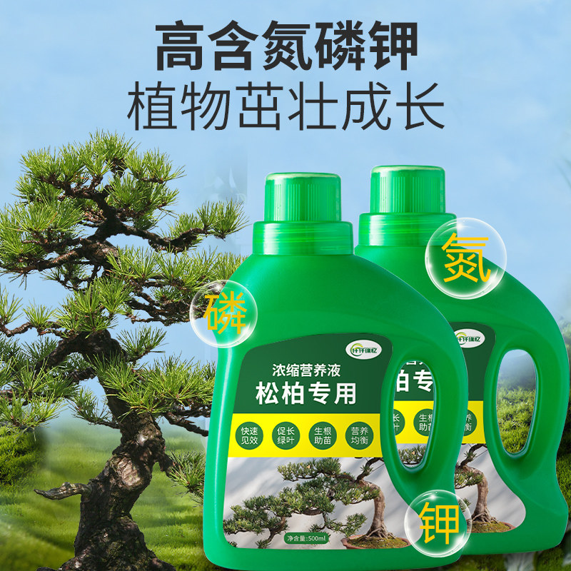 松树专用肥松柏肥料罗汉松营养液迎客松绿植盆栽盆景植物复合园艺图片