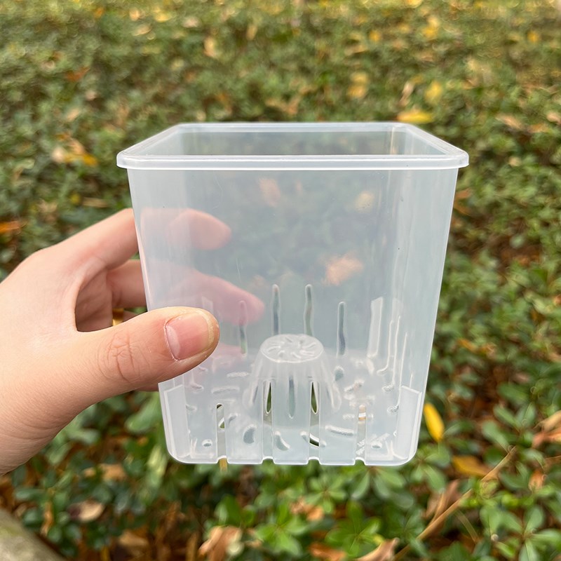 方形透明花盆青山控根盆塑料水培绿萝蝴蝶兰洋兰花专用花盆小方盆图片