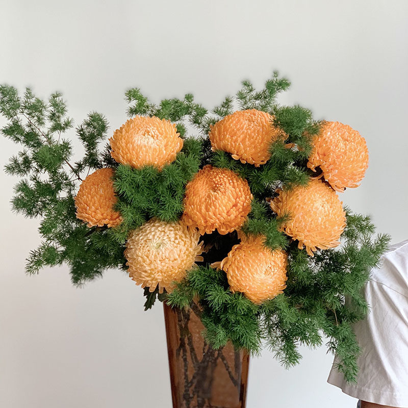 暖冬色橙色牡丹菊鲜花蓬莱松组合云南昆明直发花期长花头大节日