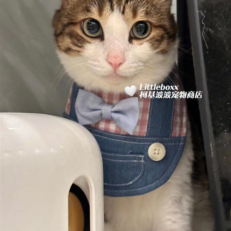 Littlboxx柯基波波格子领结背带裤口水巾围嘴猫小中大型犬装饰