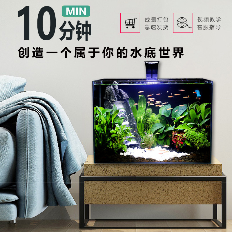 超白玻璃生态鱼缸水族箱自循环免换水客厅电视柜家用桌面生态草缸