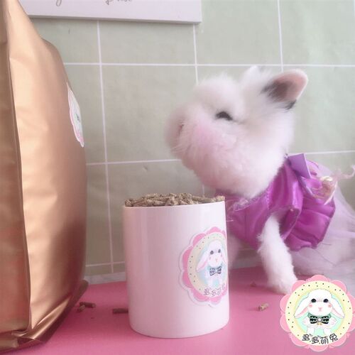 宠物兔幼年粮不添加零食有助于幼年兔消化