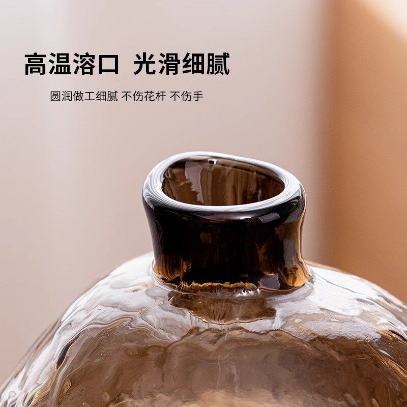 简约玻璃花瓶摆件小众透明客厅插花北欧风感马醉木餐桌玄关装饰