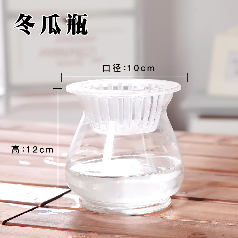 简约玻璃瓶花瓶透明水培植物绿萝盆栽花盆桌面简约摆件花器小鱼缸