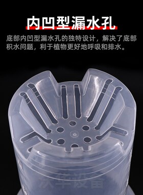 兰花绿兰盆君子兰花白色简约塑料加厚绿植6寸7寸透明圆盆加厚花盆