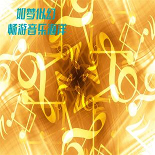 无损黑胶50-200首 车载CD碟片 定制歌曲 自选曲目代刻录 显示歌名
