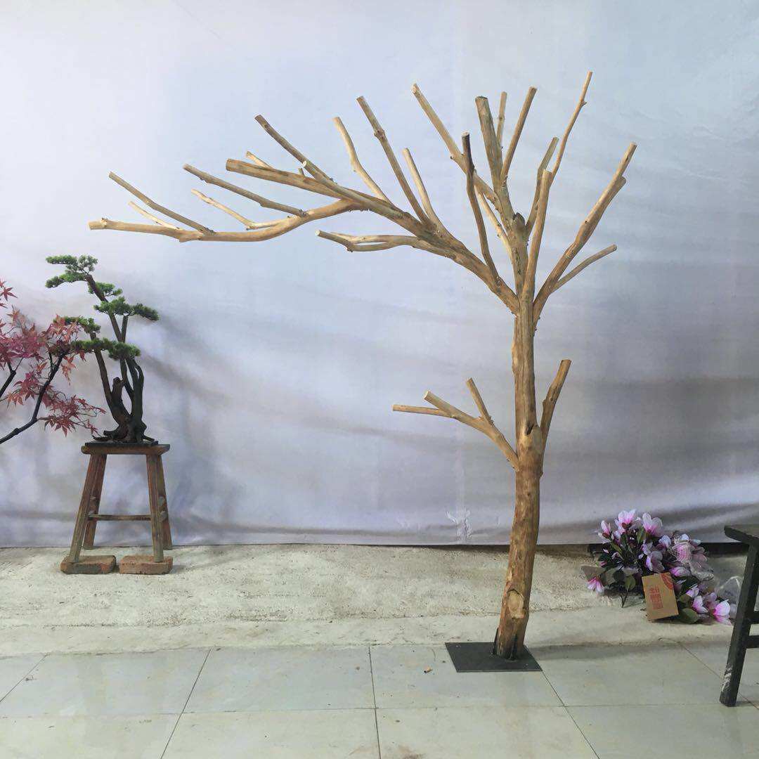 天然原木色造型枯树树干树枝装饰树杈实木展示衣帽架