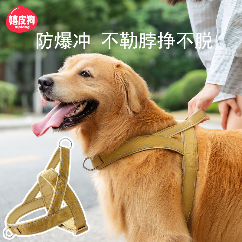 狗狗牵引绳防爆冲胸背带中型大型犬拉布拉多金毛大狗遛狗绳狗链子