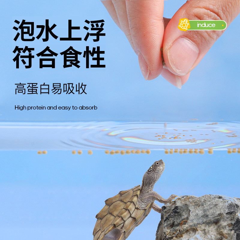 密西西比地图专用粮乌龟饲料食粮食料小乌龟发色黑瘤地图食物龟图片