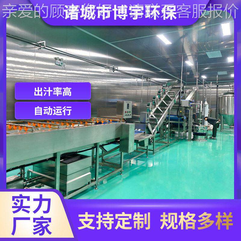 MAGA-102萄葡清洗榨汁生果产线设备葡萄汁压榨机340不锈钢工业水