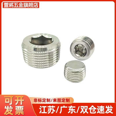 不锈钢带密封涂层型锥型沉头螺塞 堵头 MSWTSK J S 1 2 3 4 6 8