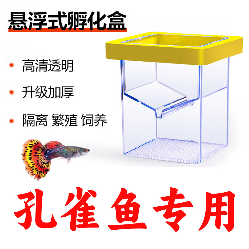 鱼缸隔离盒孔雀鱼繁殖盒鱼苗缸内孵化盒亚克力小鱼母鱼生产孵化器