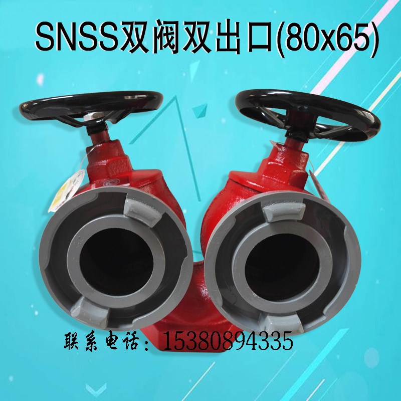 双阀双出口消火栓 减压双头消防栓 室内消火栓DN80*65 消防器材