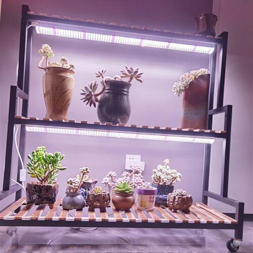 贵翔光配方LED全光谱仿太阳光植物补光灯多肉上色防徒长绿植花卉
