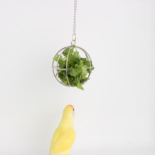 鹦鹉蔬菜金属球 玄凤虎皮牡丹文鸟鹦鹉鸟喂蔬菜夹子架用品用具