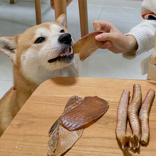 爱宠私语犬用鹅喉管成幼犬狗狗磨牙耐咬0添加狗零食鸡肉鸭肉鹅喉
