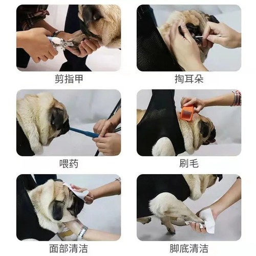 猫吊床猫咪剪指甲宠物美容吊床固定器神器防抓防咬悬挂中小型猫狗