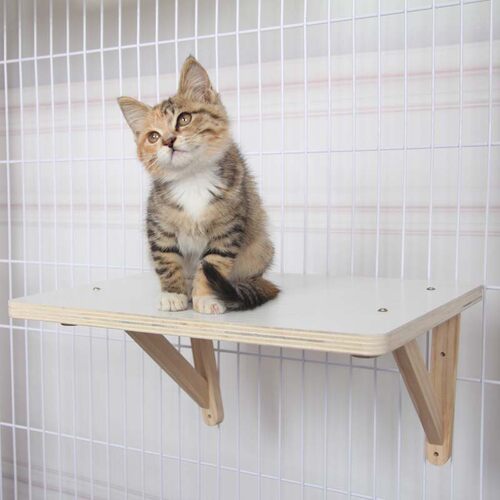 猫笼悬挂式休息平台兔子跳台踏板隔层实木挂床猫别墅獒运自由空间