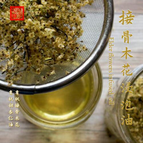MRH接骨木干花Elder rFlowers西洋接骨木花magic保护Herbs
