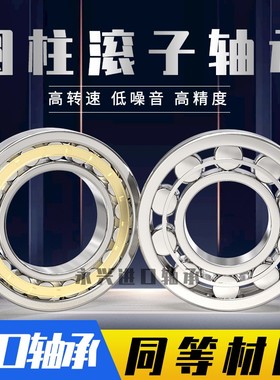 圆柱滚子轴承NUP2205 2206 2207 2208 2209 2210 2211 2212EM
