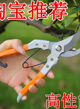 进口花剪修枝剪树枝剪刀园艺剪刀粗枝剪园林剪果树剪五金工具修剪