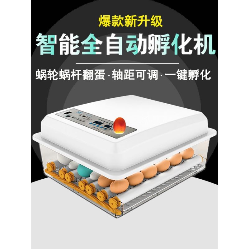 二队孵化机全自动小型家用型水床孵蛋器孔雀鸭鹅家用鸡蛋孵化器