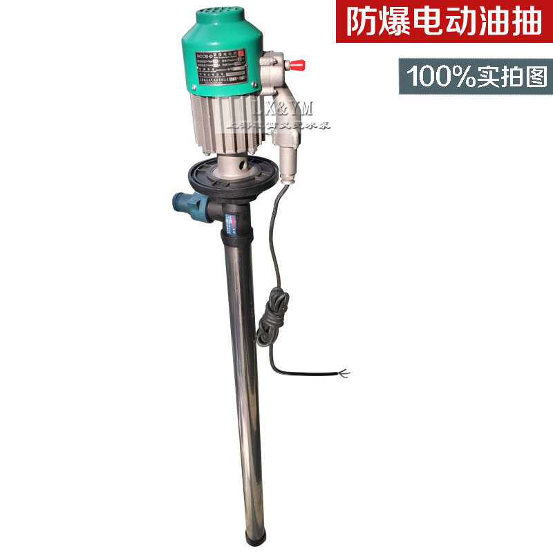 夏朗防爆油桶泵不锈钢杆电动油抽电动工具电动抽油泵HCCB-D 220V