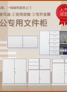 江苏省南京市文件柜铁皮柜矮柜拆装抽屉带锁柜资料柜档案柜储物柜