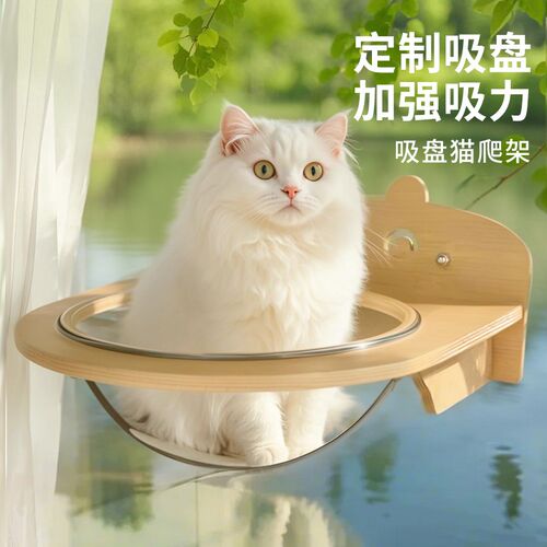 吸盘猫爬架免打孔猫咪观景飘窗玻璃阳台悬挂窗户晒太阳太空舱猫窝