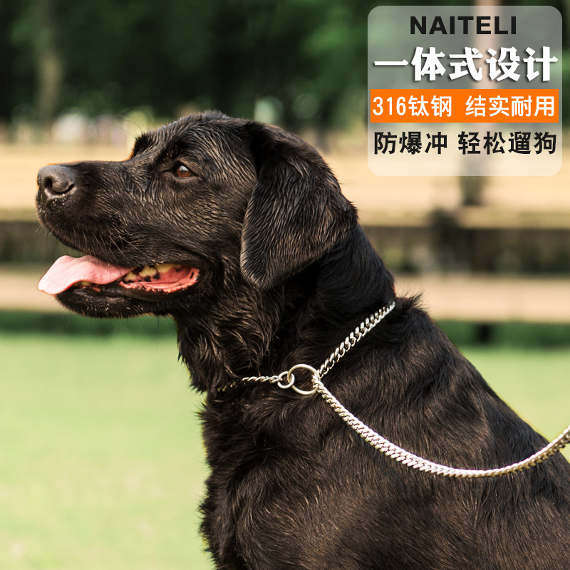 钛钢一体式P链防爆冲训犬P字链不锈钢中大型犬拉布拉多金毛牵引绳