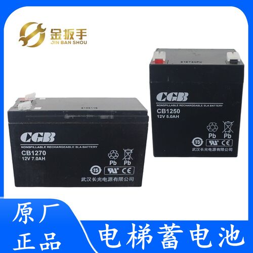杭西奥电梯救援装置蓄电池松闸电源CGB武汉长光CB1250/1270/1240