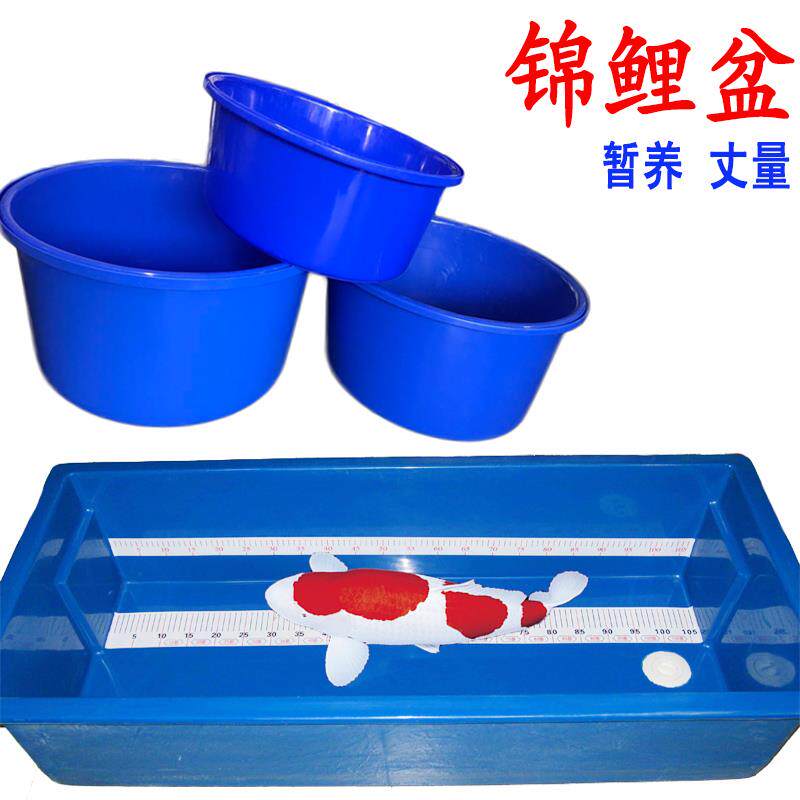 锦鲤鱼蓝盆渔场周转暂养圆盆专用比赛展示盆丈量盆比赛盆超耐用
