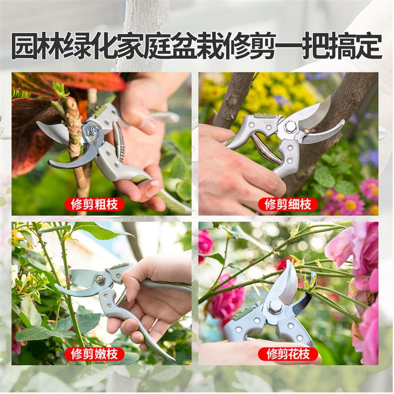 沃施worth园艺月季专用修枝剪刀家用盆栽修剪花卉剪子园林果树剪