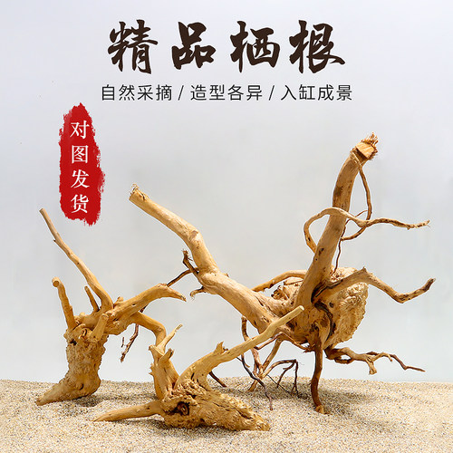 沉木造景木鱼缸装饰天然树根杜鹃根鱼缸水族箱造景小沉木枝条栖根