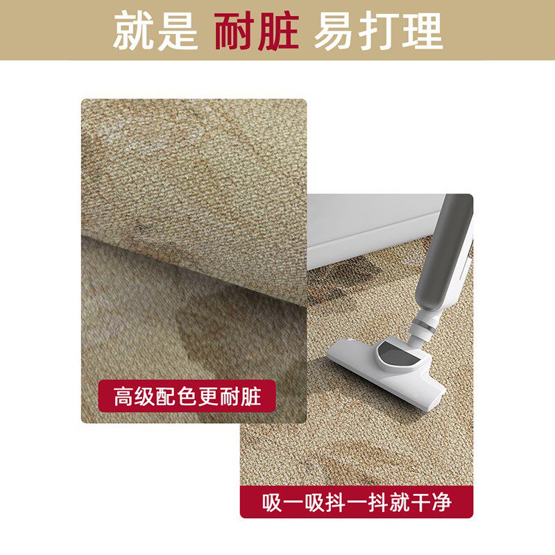 高级入户门地毯轻奢耐脏毯子大门口踩脚垫进门耐蹭玄关垫耐脏地垫