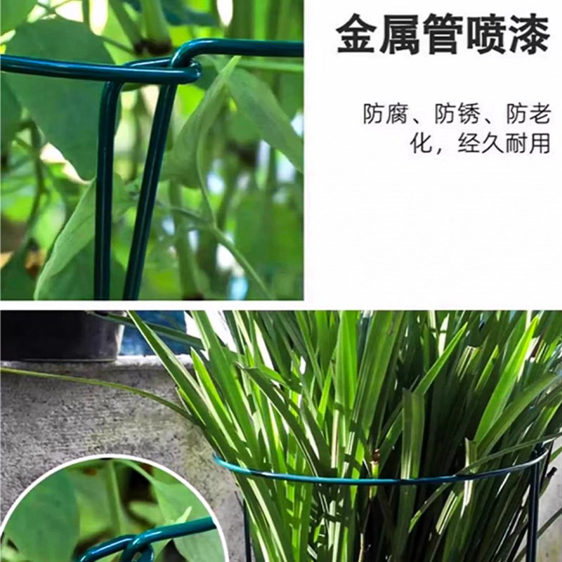 加粗花支撑架花架支撑杆爬藤植物固定架阳台花架稳固耐用防腐防锈图片