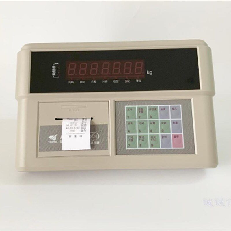耀华XK3190-A9+P显示器地磅主机仪表带打印表头0-200吨通用