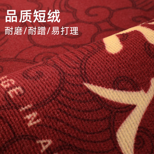 入户门地垫进户门高级感门口脚垫玄关垫子防滑家用可裁剪地毯门垫