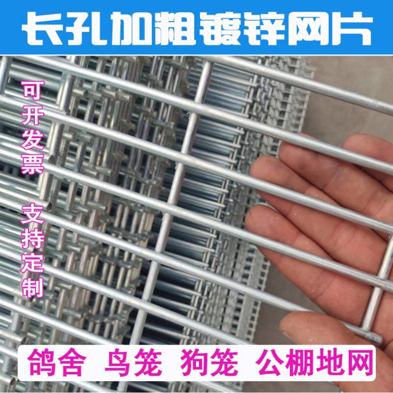 长孔镀锌铁丝网片鸽舍围栏热镀锌钢丝网养殖加粗加密地网防护网格