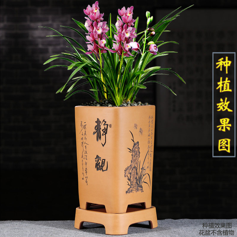 紫砂盆超大号高花盆兰花盆悬崖盆特大四方签筒客厅落地花盆带底座