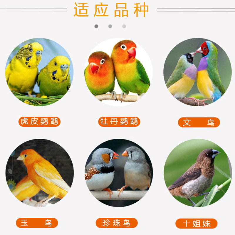 炫料鹦鹉珍珠鸟粮玉鸟专用食混合带壳文鸟饲料金青鸟食芙蓉鸟珍珠图片