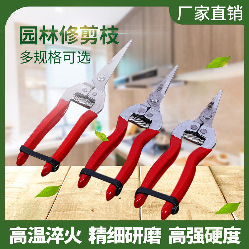 万能好园丁园艺摘果剪刀 盆景 蔬菜辣椒 果树蔬果剪修枝剪 镀铬铁