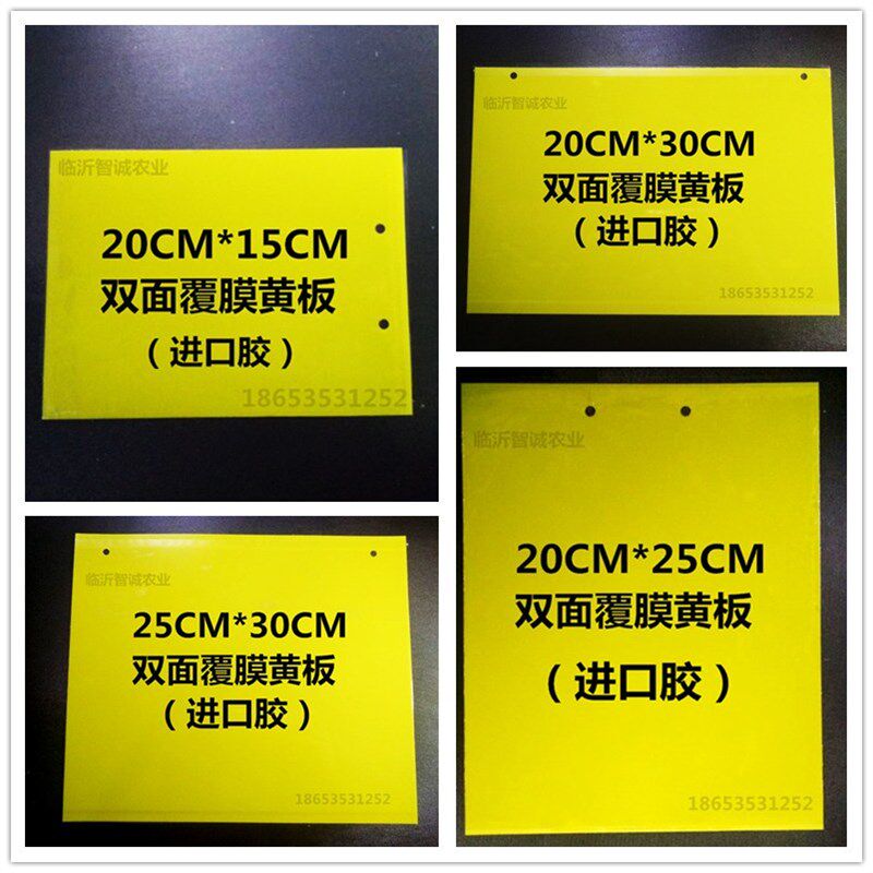 双面粘虫板诱虫板黄板蓝板果园蔬菜黏沾虫贴白粉虱蓟马果实蝇包邮