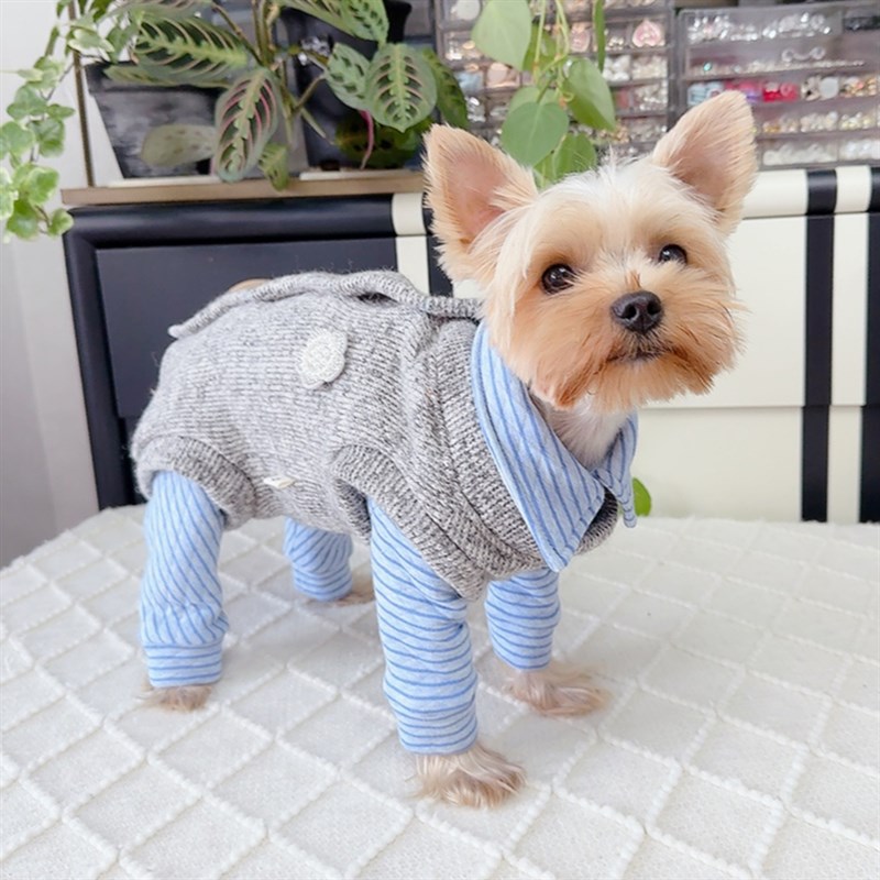 潮查利家狗狗秋冬中厚包肚马甲泰迪比熊博美猫咪犬保暖毛衣背心款