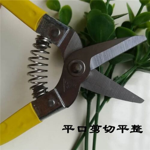 罗定小型采果剪刀采摘葡萄柑橘蔬果剪刀园林果树省力花枝修枝剪刀
