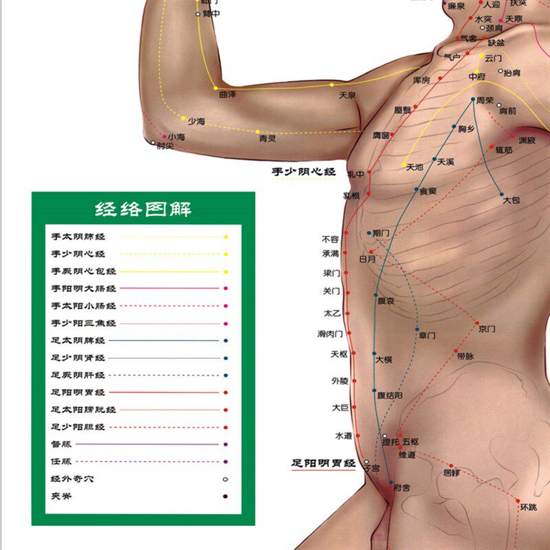 经络图解丝绸画人体穴位图挂画中医养生文化推拿针灸按摩店装饰画