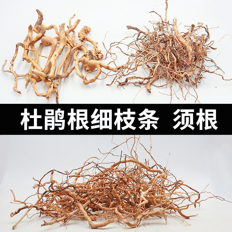 杜鹃根枝条须根造景树形骨架成品材料细龙须根树枝鱼缸天然沉木条图片