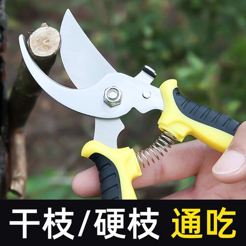 花剪枝园艺剪刀修枝剪省力修剪树枝果树竹签园林花卉专用花艺剪子