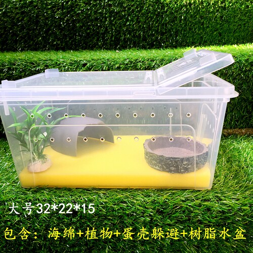 角蛙饲养盒套装角蛙饲养箱角蛙专用生化棉角蛙垫材角蛙两栖爬台